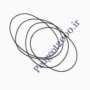 اورینگ دور بوش پژو 2000